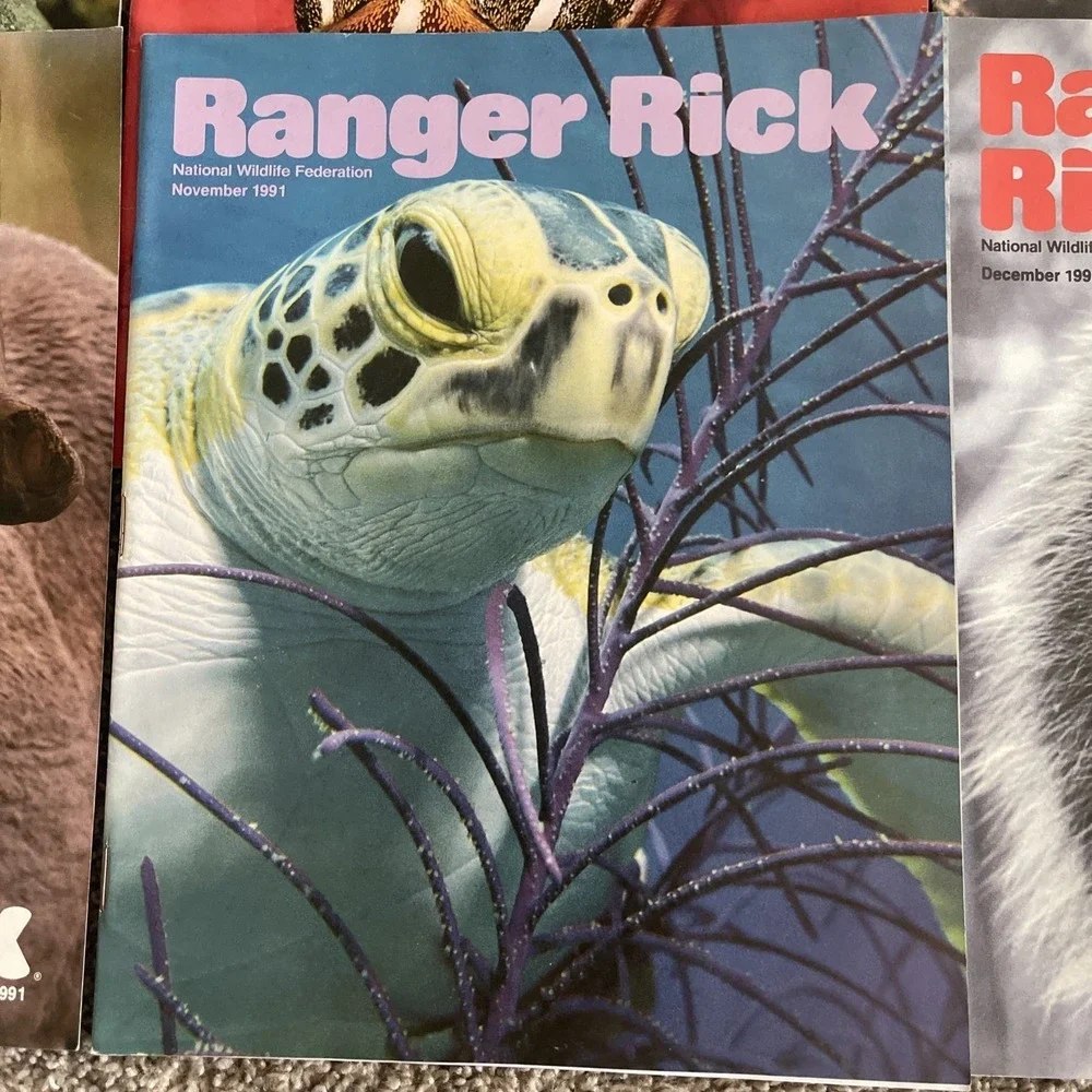 Ranger Rick's Nature Magazine 1991 National Wildlife Kids Vtg Lot Of 12 Complete